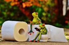 ¿Por qué a los gatos les gusta jugar con papel higiénico?