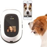 PetChatz: analisis del intercomunicador para mascotas