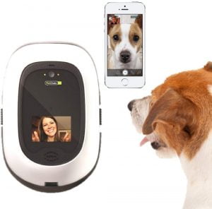 PetChatz: análisis del intercomunicador para mascotas 5 PetChatz: análisis del intercomunicador para mascotas 1