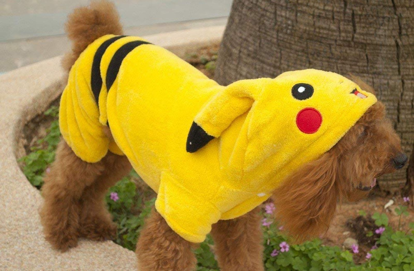 Los mejores disfraces de Pokémon para perros en 2020 1