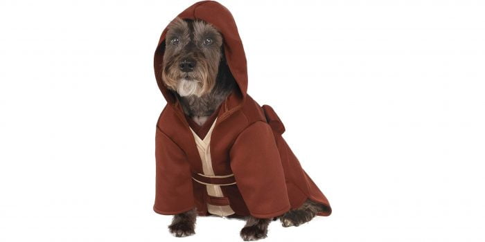 Disfraces de Star Wars para perros