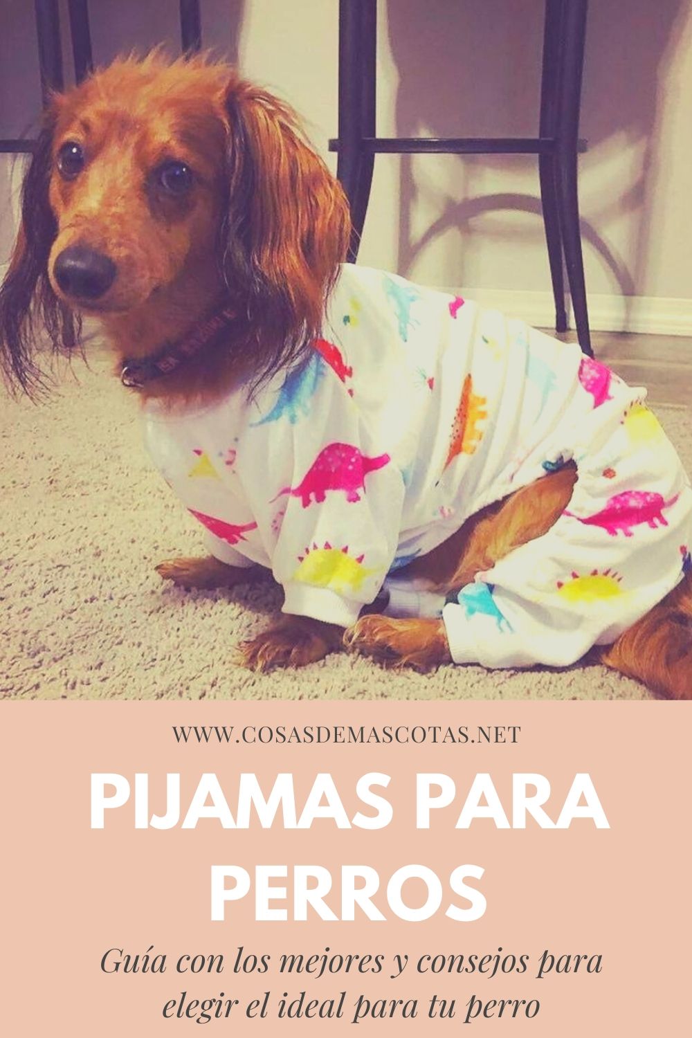  Dog Pajamas