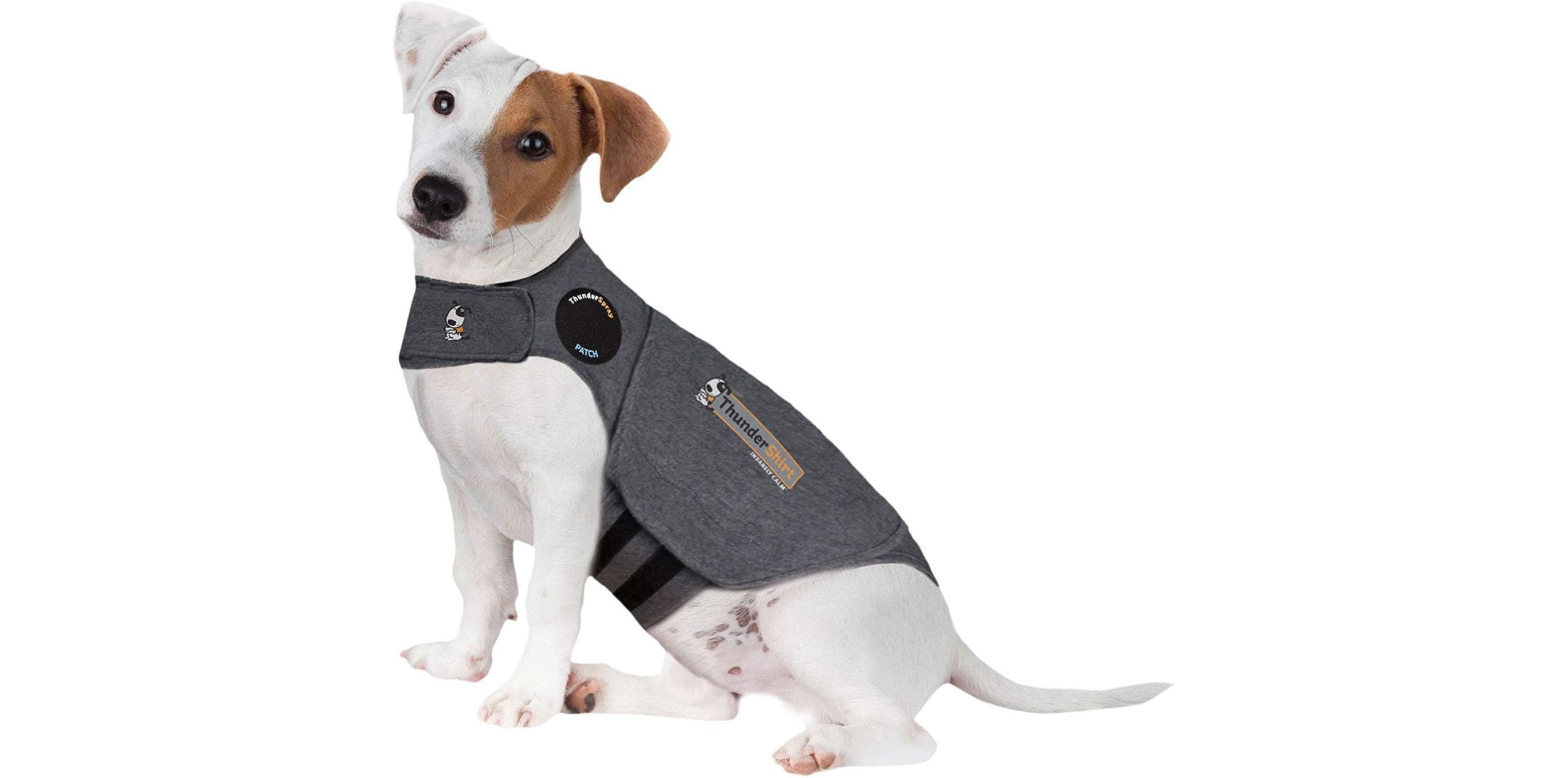 ThunderShirt - Camiseta contra la ansiedad para perros 1 ThunderShirt camiseta para ansiedad en perros - opiniones