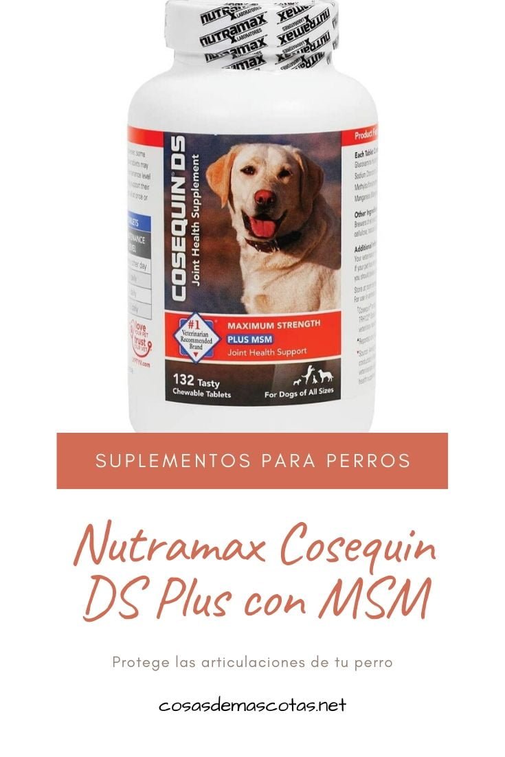Nutramax Cosequin DS Plus con MSM