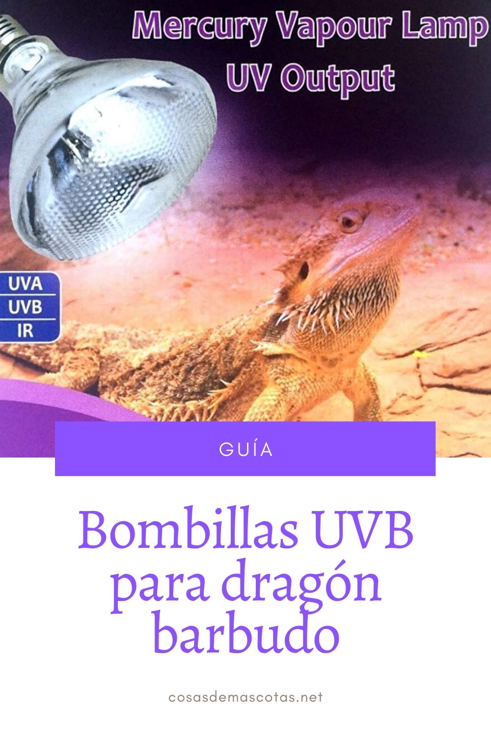 bombillas UVB para dragón barbudo