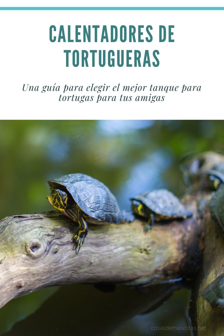 Mejores calentadores para Tortugueras (acuarios para tortuga)