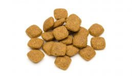 ablandar la comida para perros