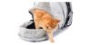Las mejores mochilas para gatos del 2026 (análisis)