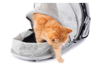 mejores mochilas para gatos
