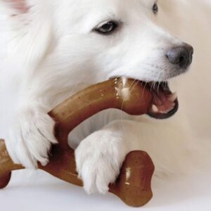 Cosas de mascotas 5