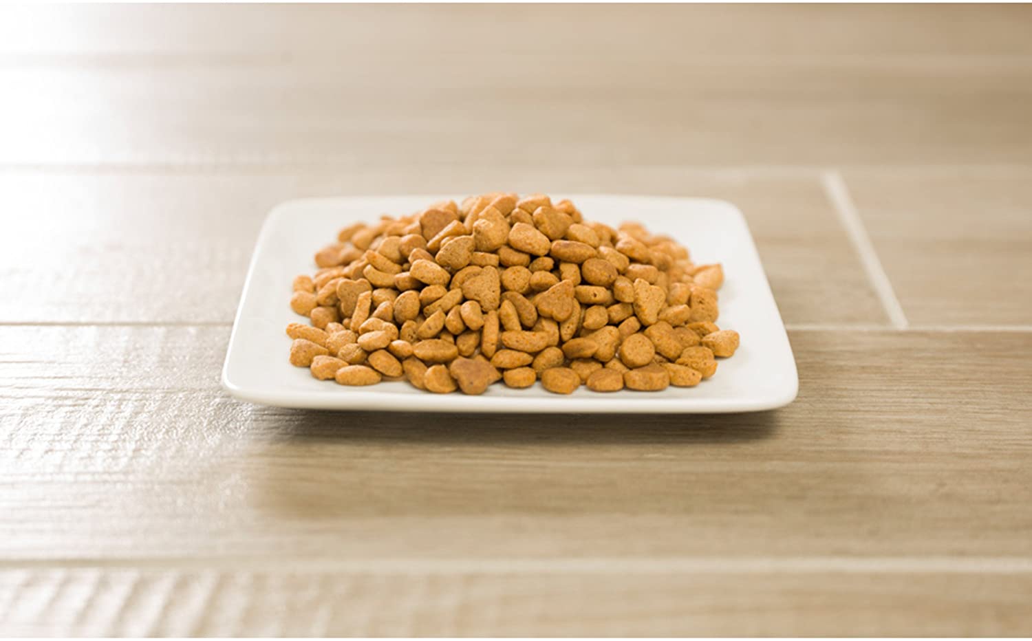 Análisis de la comida para gatos Purina Pro Plan 1 Análisis de la comida para gatos Purina Pro Plan 1