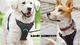Arnés para perros Rabbitgoo - análisis