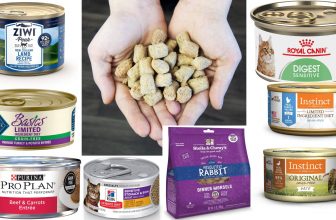 La mejor comida para gatos con pancreatitis del 2026 (análisis)