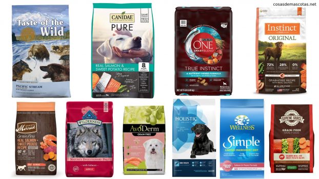 mejor comida con salmón para perros