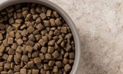 comida de cordero para perro