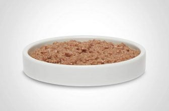 La mejor comida para gatos con EII del 2026 (análisis)