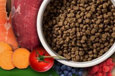 comida para gatos con caca maloliente