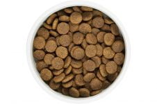 Análisis de la comida para perros WholeHearted
