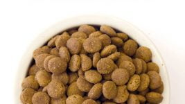 comida para perros de razas grandes