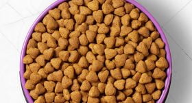 comida sin guisantes ni legumbres para perros