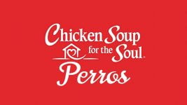 comida para perros Chicken Soup for the Soul