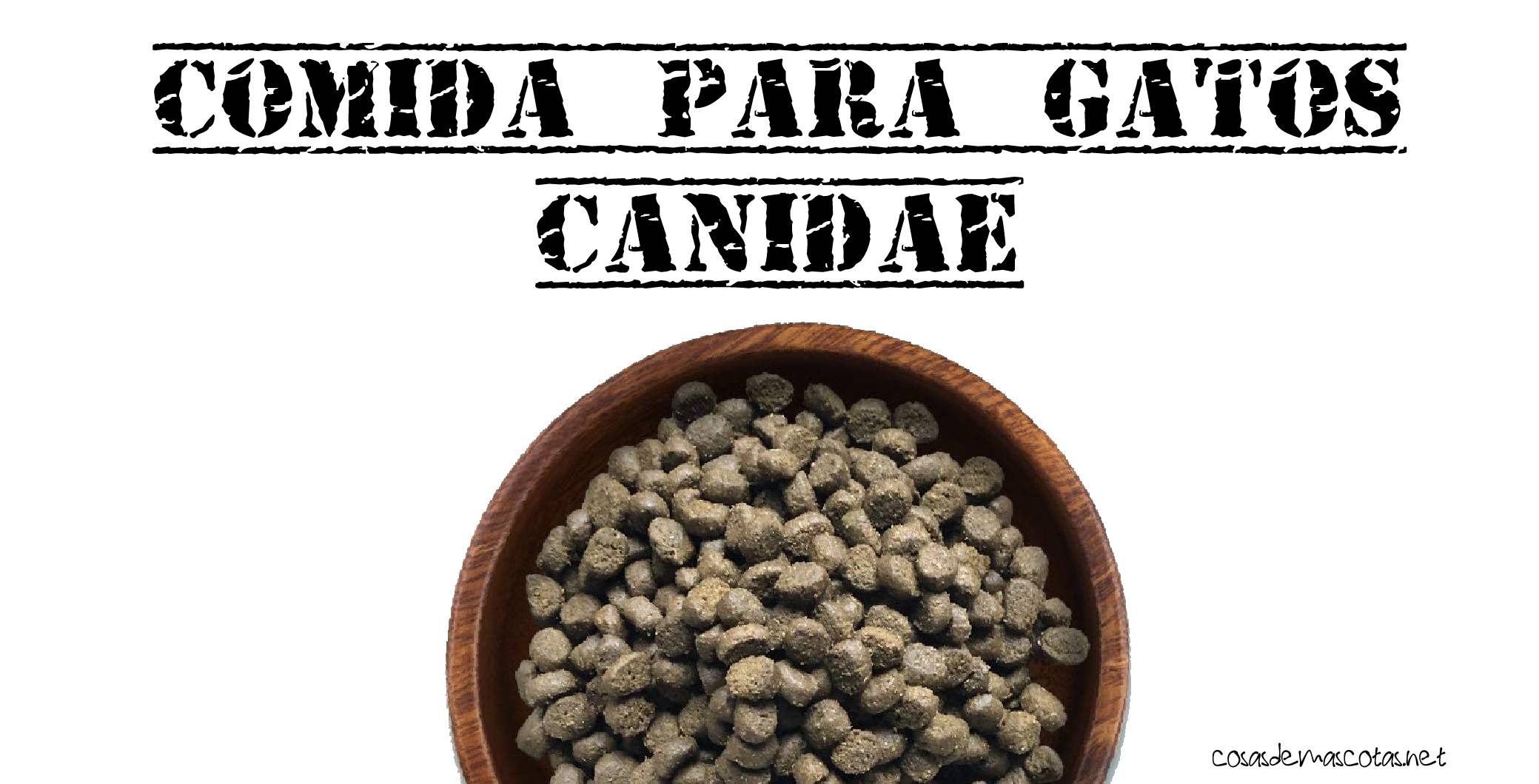 Análisis de la comida para gatos Canidae 1 comida para gatos canidae