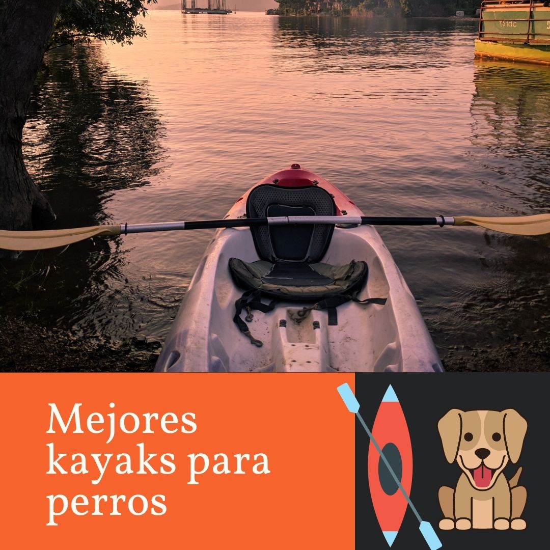 Los mejores kayaks para perros [year] (análisis) 4