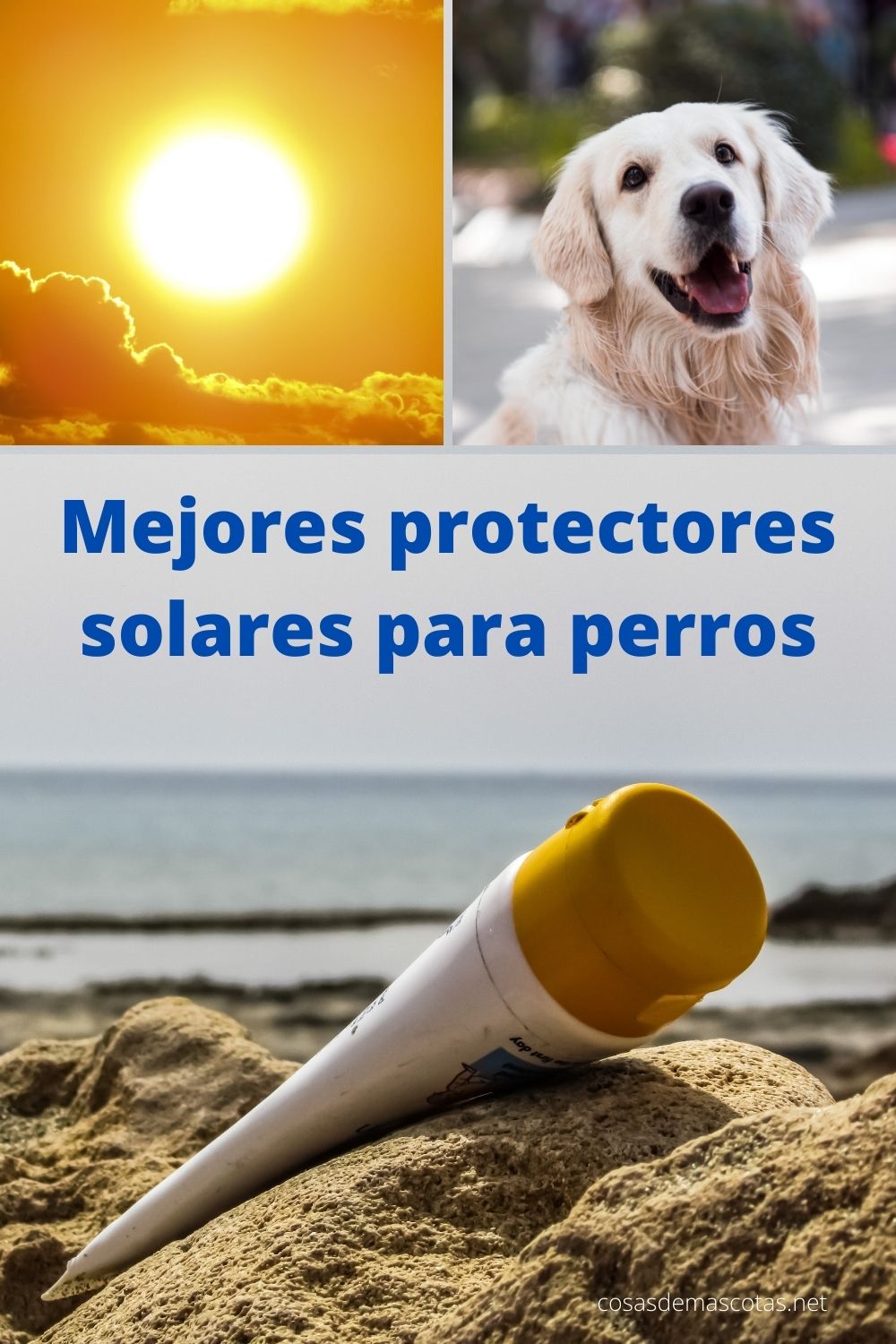 Mejores protectores solares para perros [year] (análisis) 26