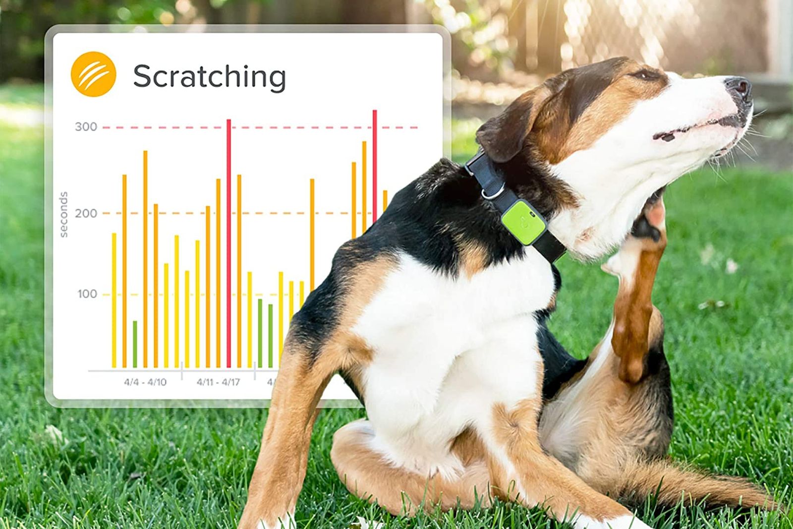 Los mejores monitores de actividad para perros [year] (análisis) 1