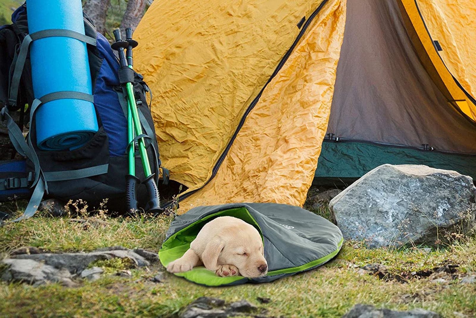 mejores sacos de dormir para perros
