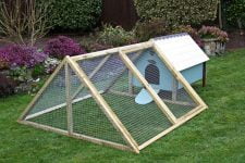 Construir corral para perros