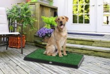 mejores inodoros para perros de interior