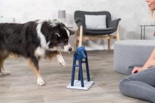 juguetes interactivos para perros