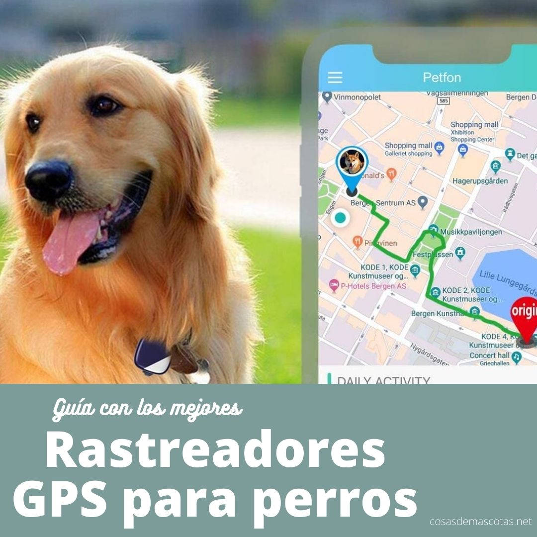 Los mejores rastreadores GPS para perros [year] (análisis) 4