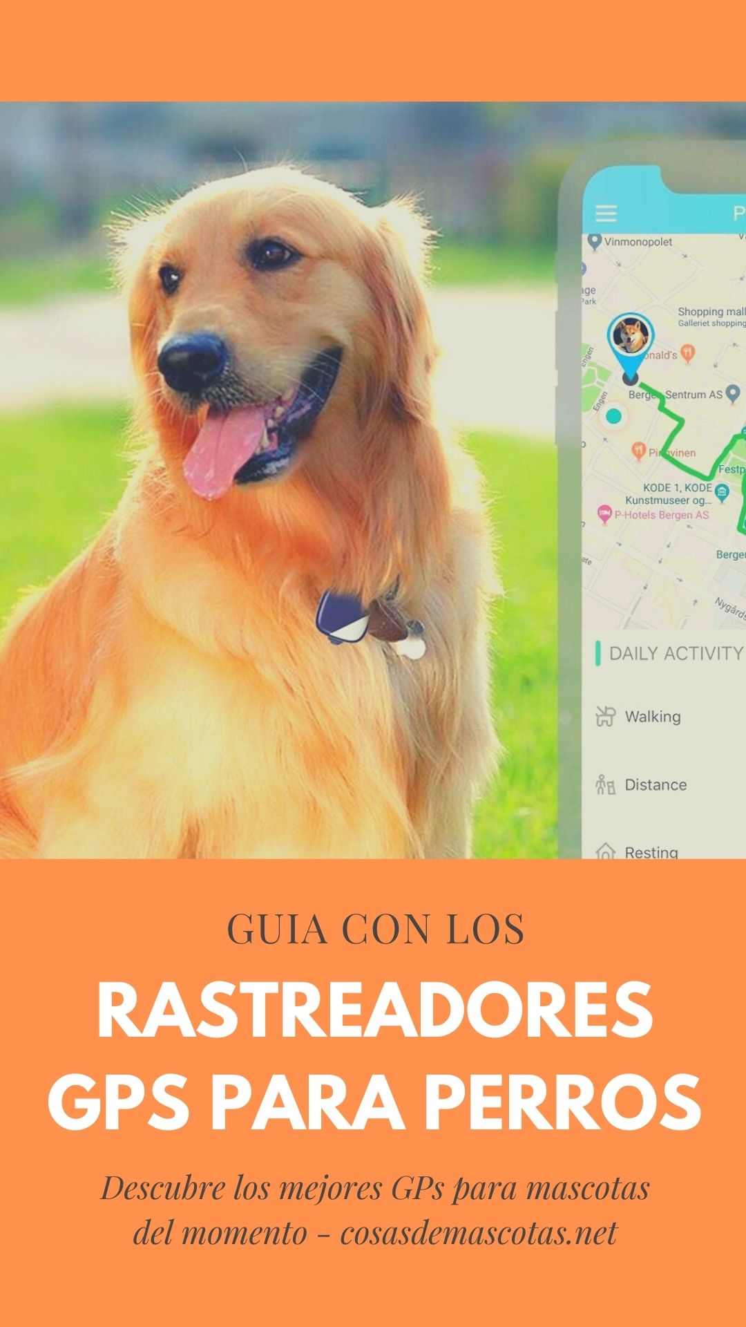 Los mejores rastreadores GPS para perros [year] (análisis) 5