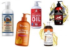 aceites de salmón para perros