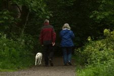 ¿Deberías adquirir un perro para un familiar de edad avanzada?