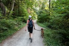 increíbles consejos para pasear al perro