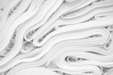 ¿Por qué los perros comen papel?
