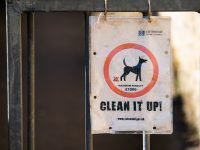 formas de recoger las cacas de los perros
