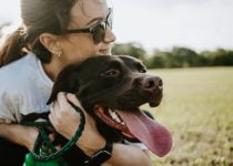 ¿Los perros recuerdan a sus dueños?