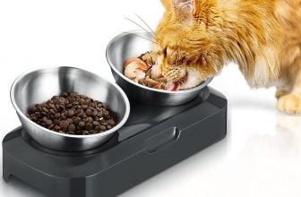 ¿Los gatos prefieren comida fría o caliente?