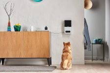 Las mejores cámaras para perros