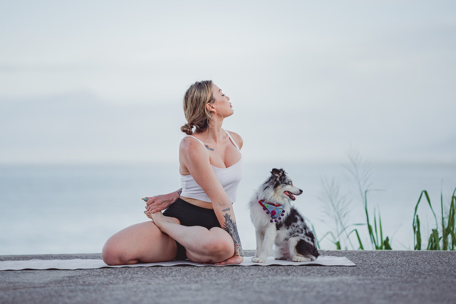 Doga, el yoga para perros: guía definitiva para practicarlo 1