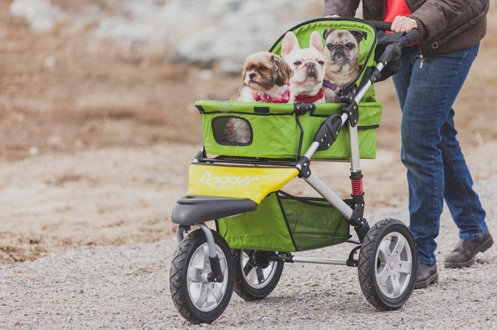 Mejores modelos de carritos para perros [year] (Guía) 3