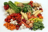 Qué comen los conejos: con qué Alimentar a los Conejos Domésticos
