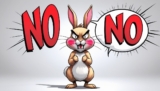 8 Cosas que no debes hacerle a un conejo nunca