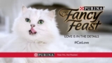 Revisión de la comida para gatos Fancy Feast