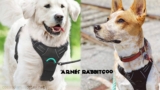Arnés para perros Rabbitgoo – Análisis