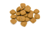 3 formas sencillas de ablandar la comida para perros en casa
